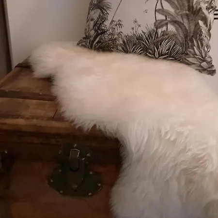 Au Pre Du Puits Prázdninový dům Saint-Gabriel